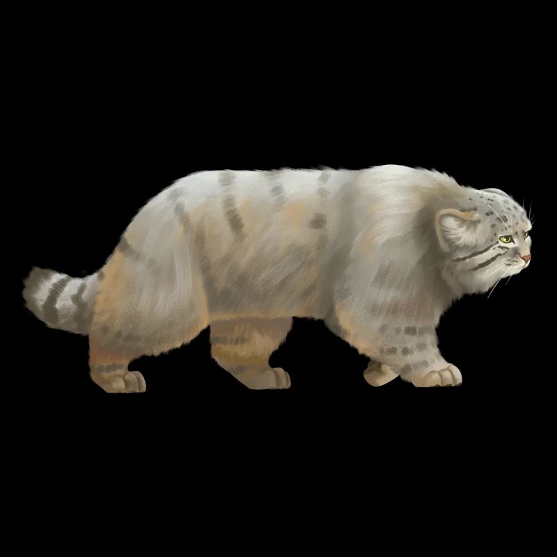 Cool Manul - the wild cat