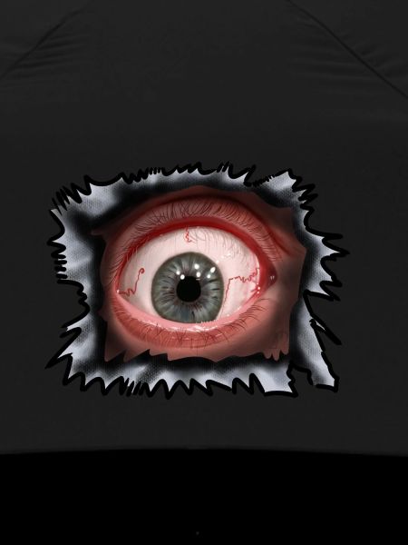 Auge