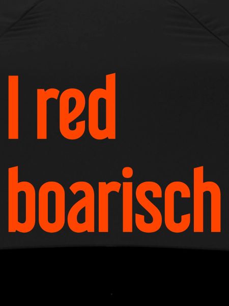I red boarisch