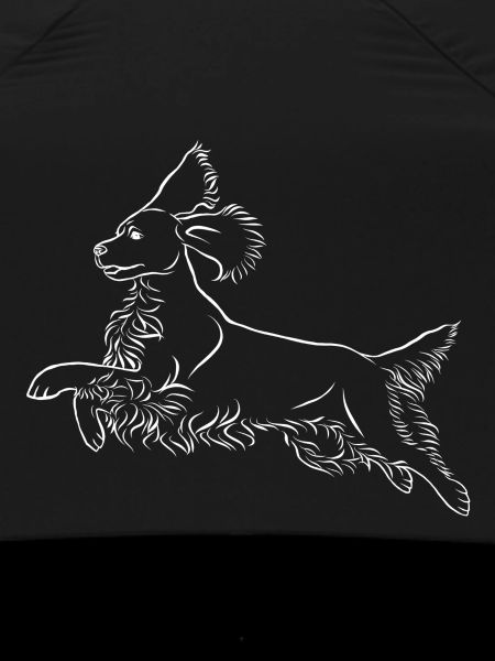 Springer Spaniel