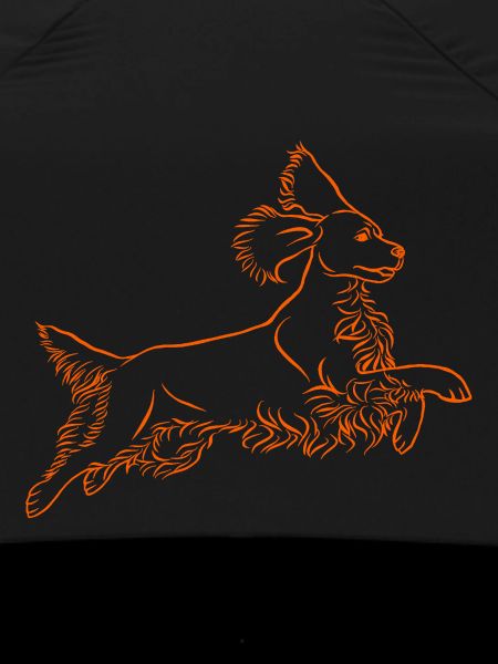 Springer Spaniel in orange