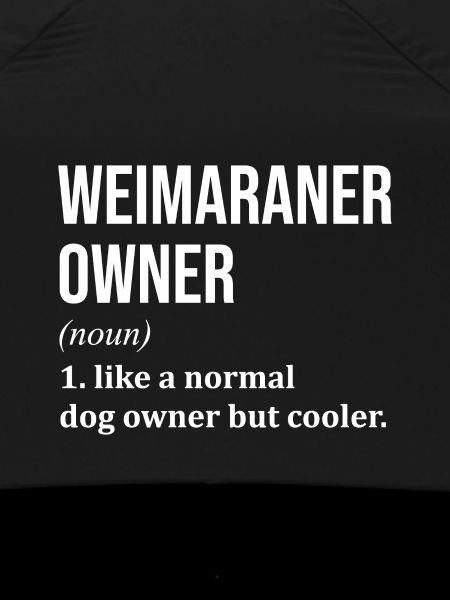 Weimaraner Weimaraner Weimaraner