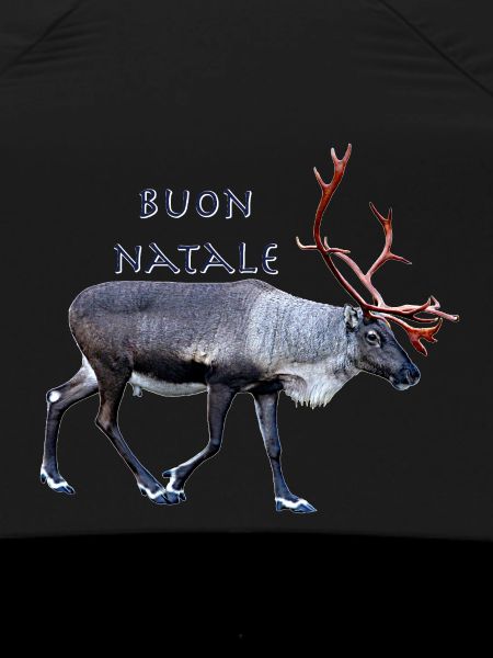 Buon Natale