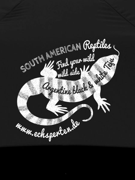 South American lizard