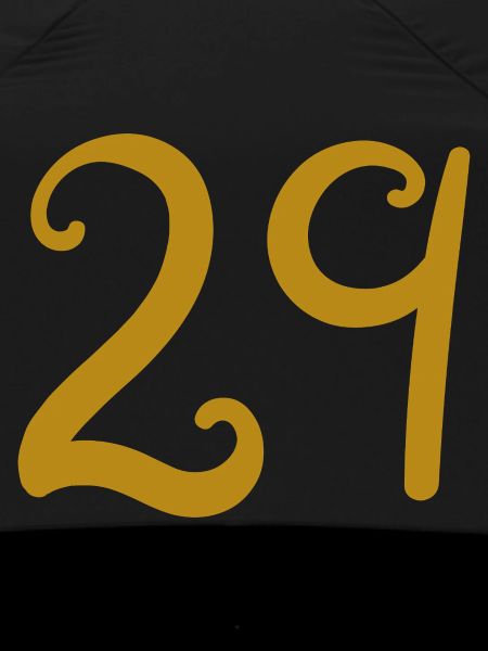 29
