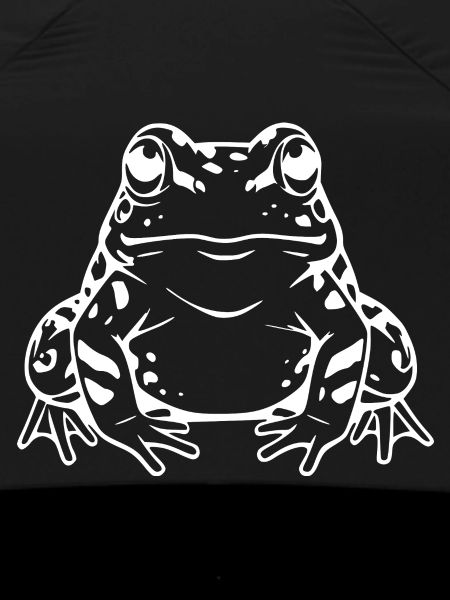 White Frog Gift