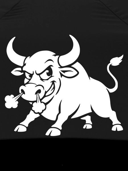 Angry bull funny angry