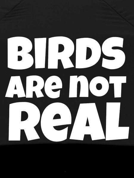 Birds Not Real Meme
