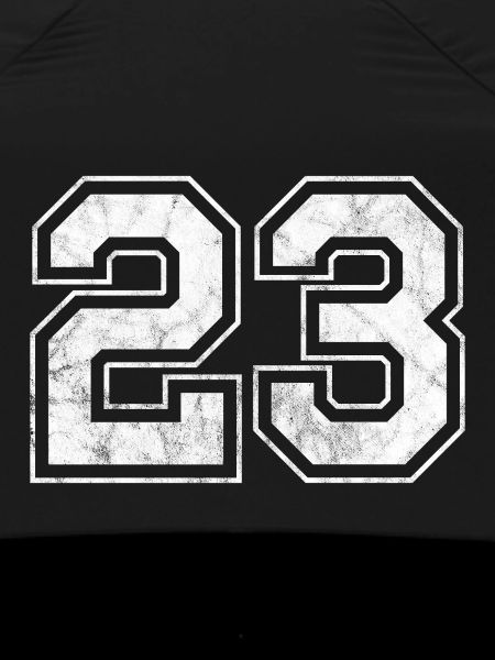 Number 23