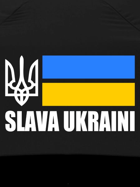 Ukraine flag