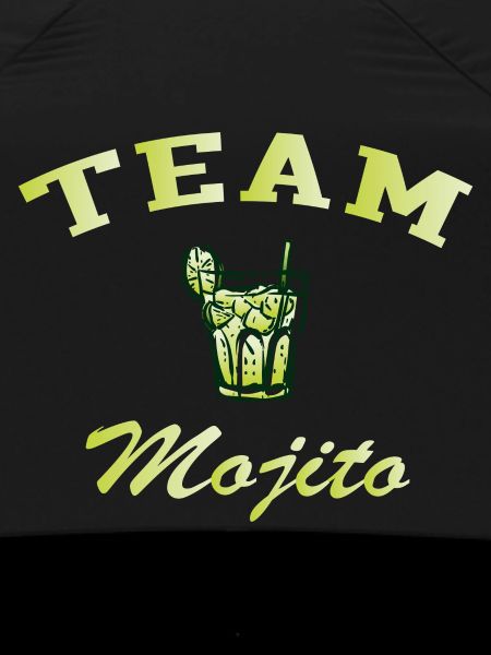Team mojito