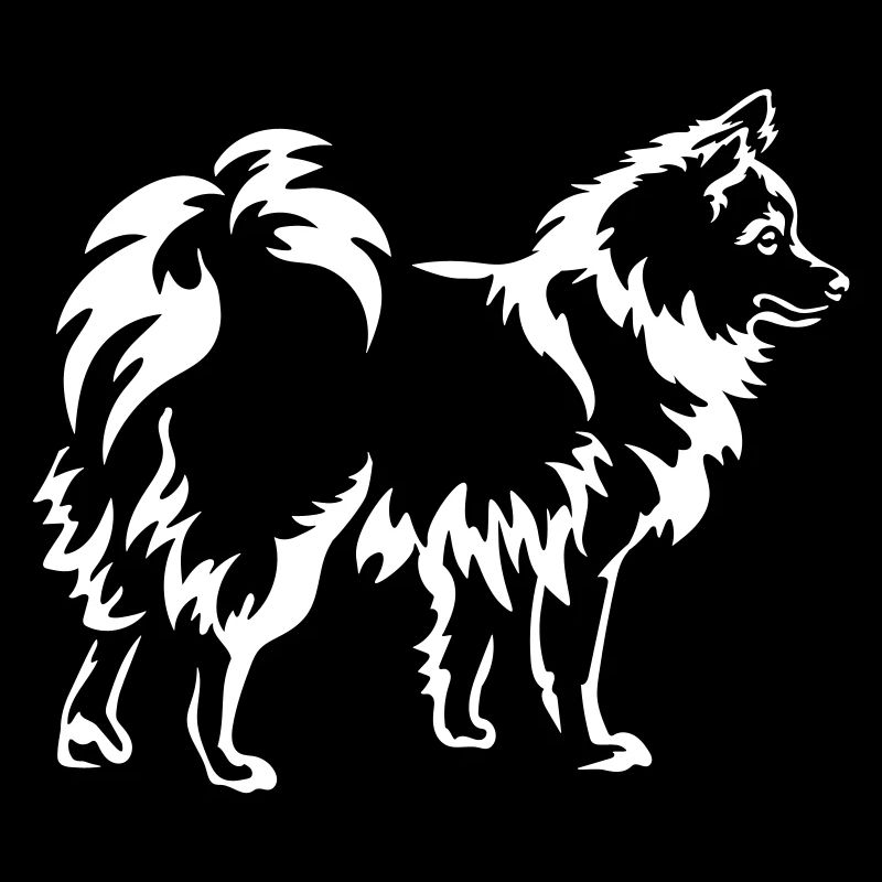 Spitz "Black Edition"