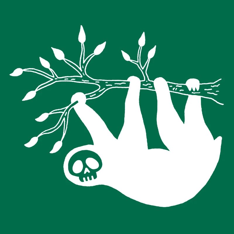 White Sloth Skull