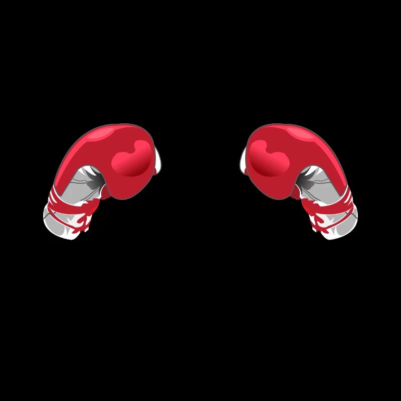 Zukunft Boxer