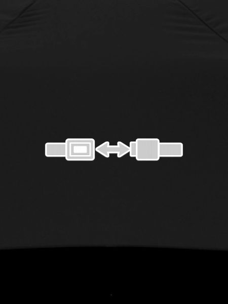 Seatbelt Sign.