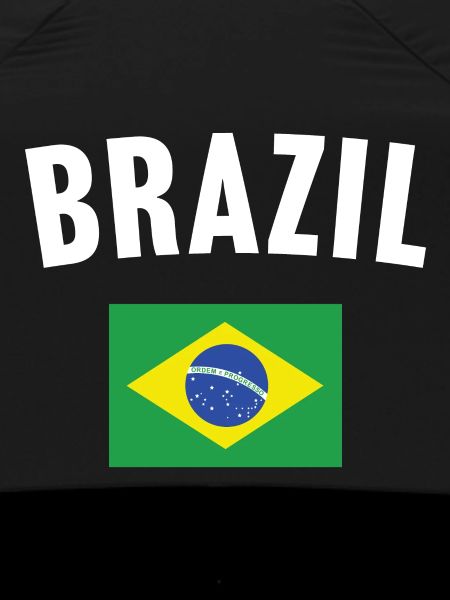 Brazil Flag