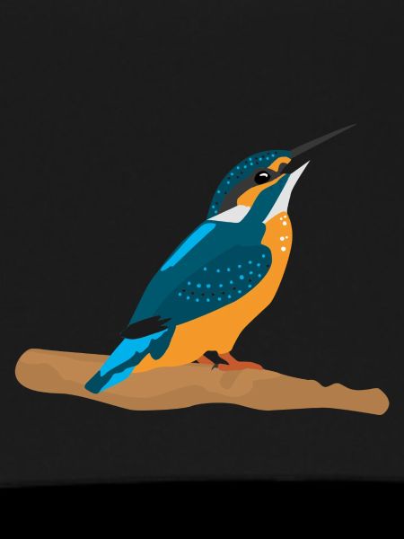 Eisvogel
