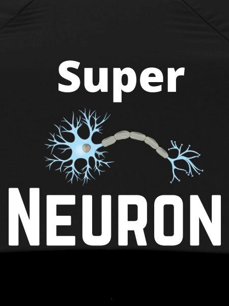 Super Neuron Network