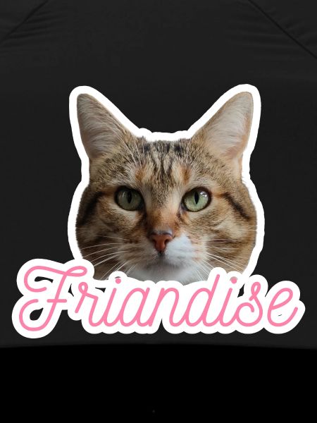 Missty friandise