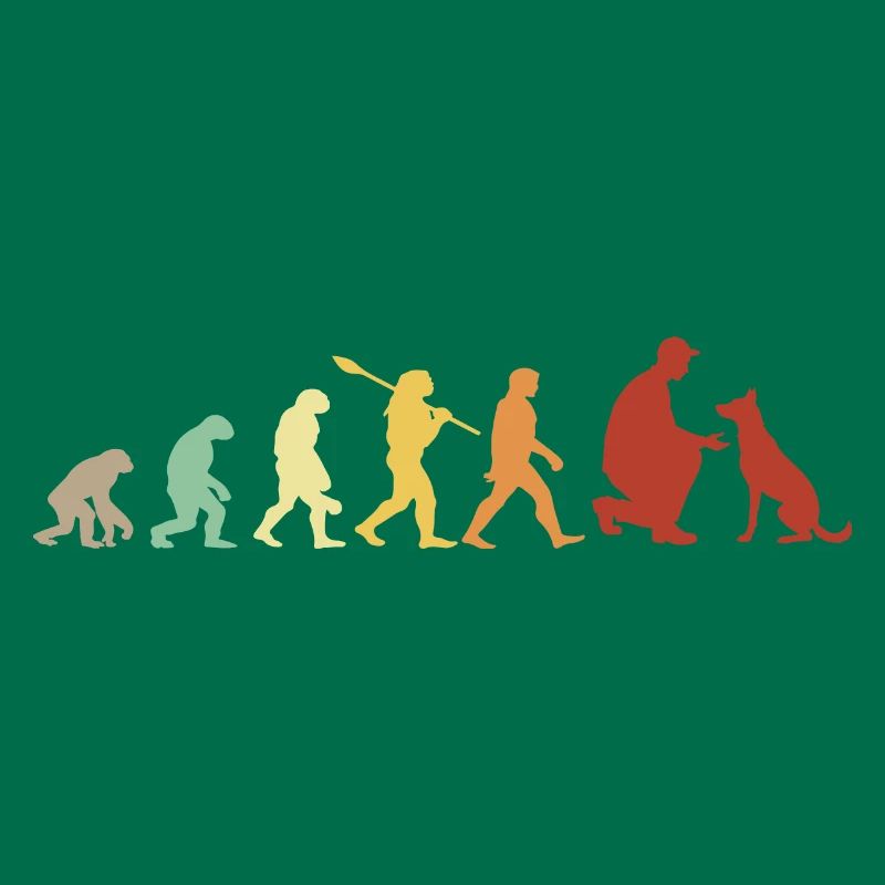 Evolution Funny Belgian Malinois Shepherd Dog