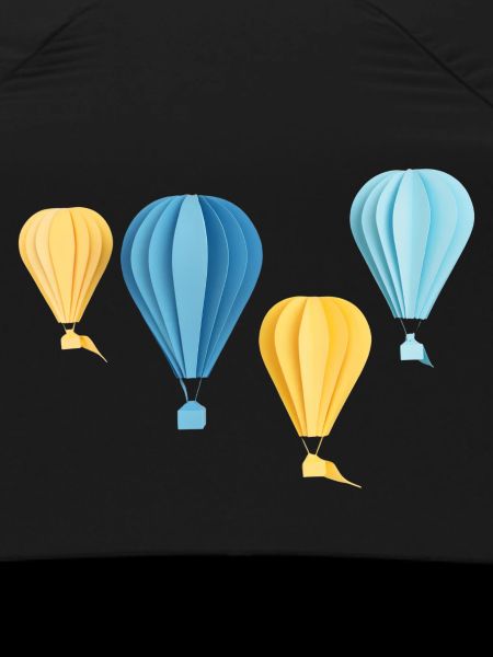 Flying Dreams