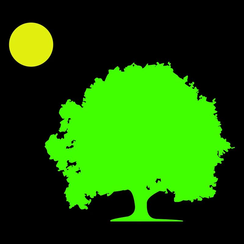 baum sonne