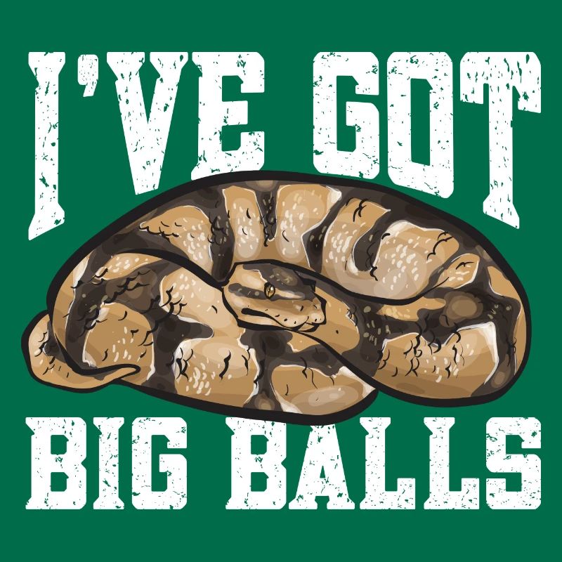 Ball Python Snake King Python