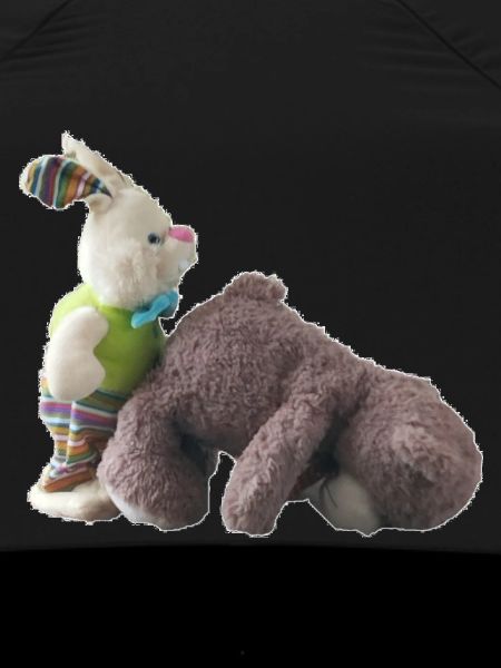 Teddy Bear Bunny