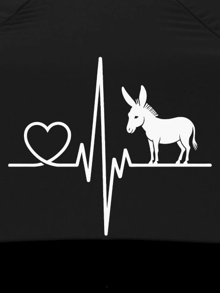 donkey