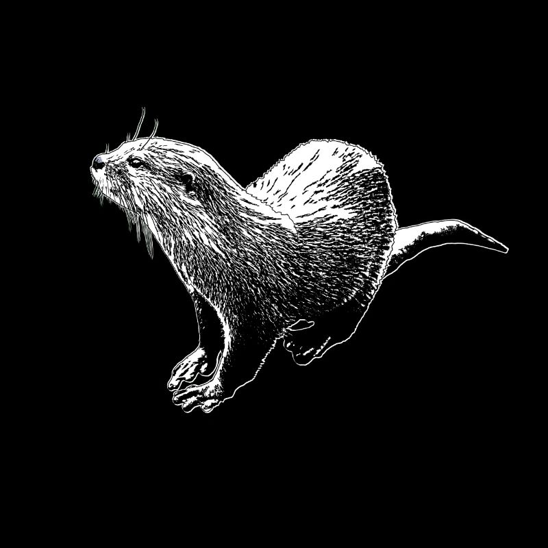 Otter