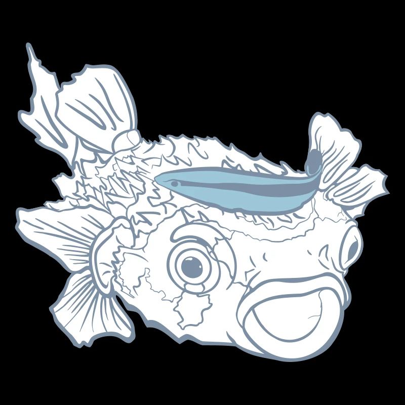 Igelfisch Kugelfisch Putzerlippfisch