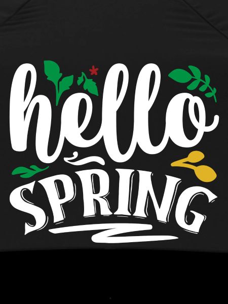 Hello Spring