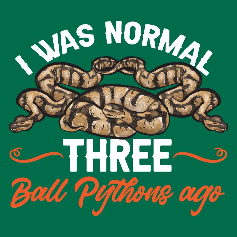 Ball Python Snake King Python