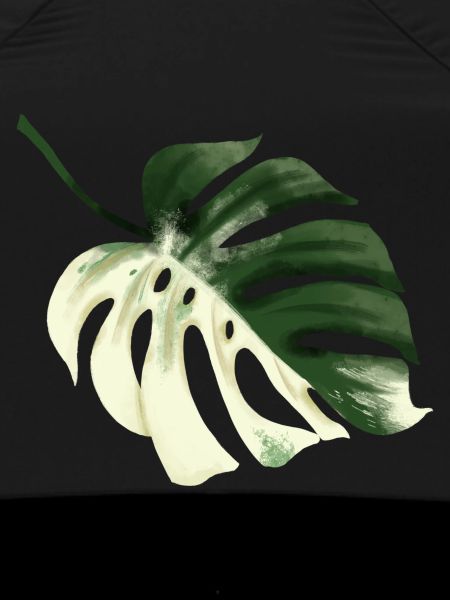 Monstera Premium Design