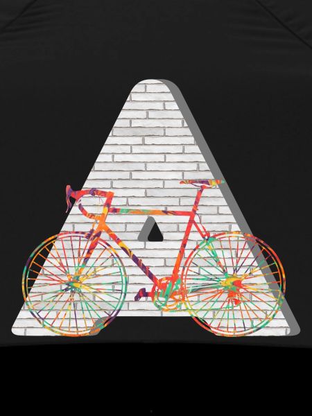 bicycle e 249 a