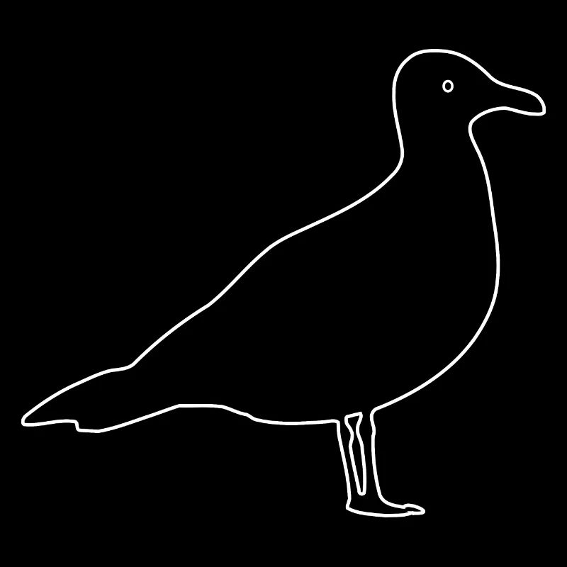 Mouette, Oiseaux, Colombe,