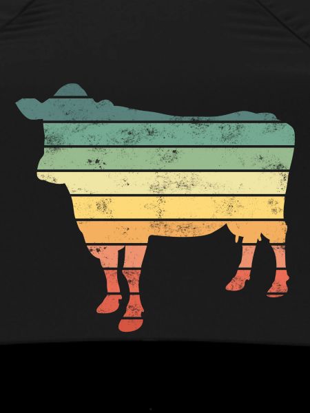 Cow Cows