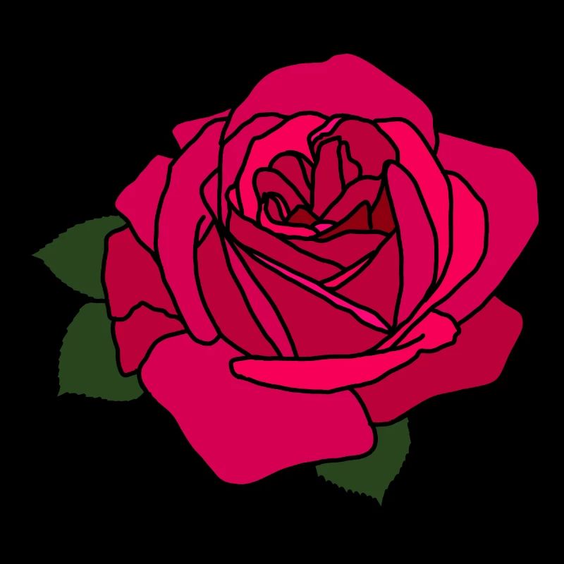 Rosa Rose