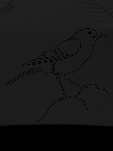 Day of the Bird