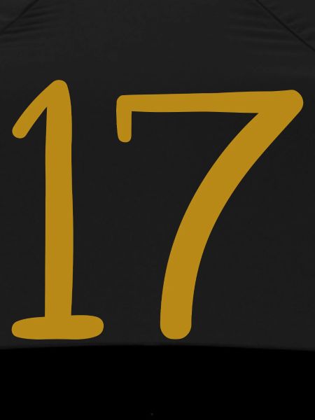 17