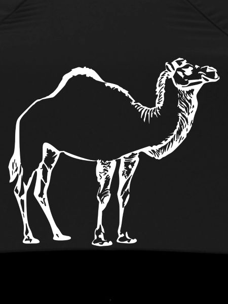 Kamel weiß Geschenk 