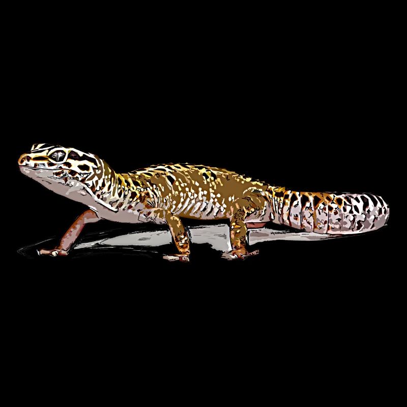 Leopardengecko