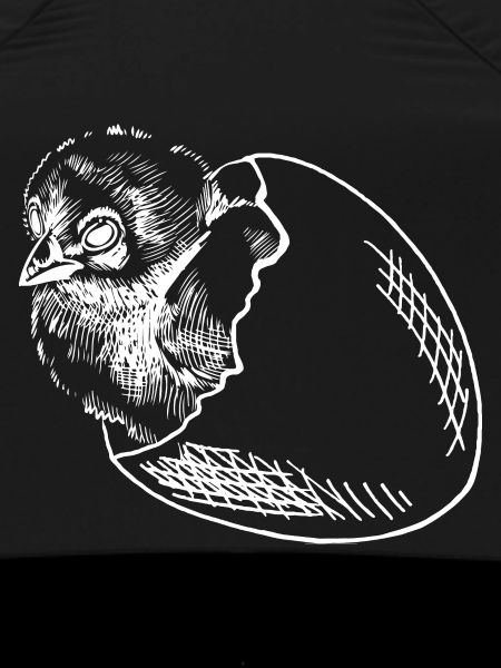 Chicks hatch egg