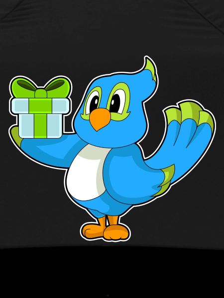 Parrot Birthday Package