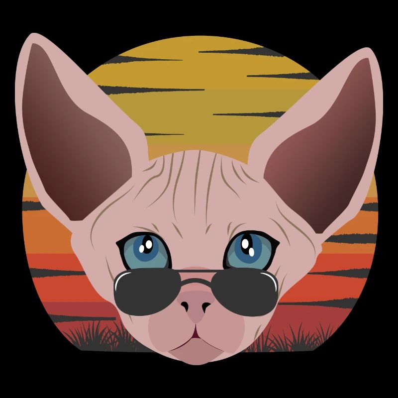 sphinx cat sunset