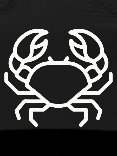 Minimalist Crab Online