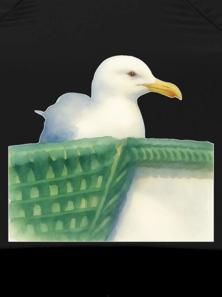 Nordsee Möwe Wattvogel 
