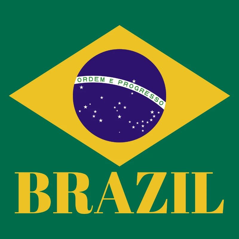BRÉSIL BRASIL Drapeau Vintage C’est dans mon ADN Brésil
