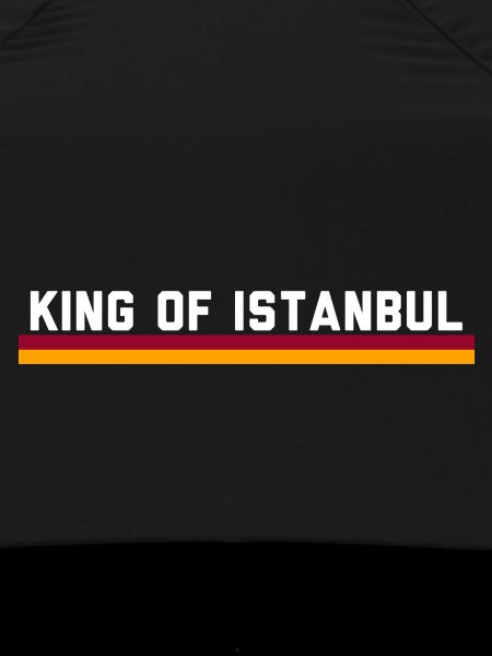 Aslan Istanbul
