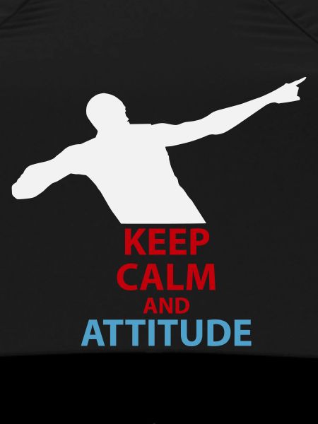 Calm and Attitude Silhouette